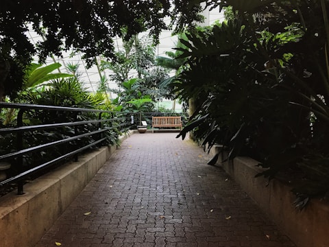 A pathway made of interlocking stones surrounded by lush, tropical plants on either side. A wooden bench is positioned at the end of the path, inviting a moment of rest. Metal railings line the path, providing a structured boundary. The ambient light is soft, filtered through the surrounding foliage.