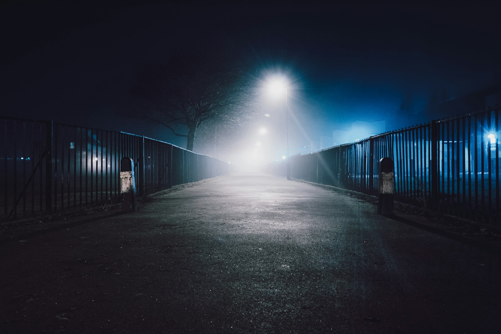 Shot on the walk home from a late night. Misty AF