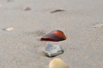 Close-up of translucent sea glass pieces scattered on wet sand with soft sunlight reflections