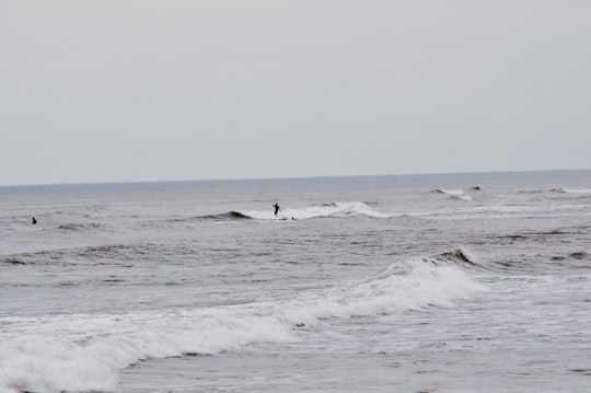 person surfing during daytime in Avalon United States