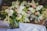 A collection of floral arrangements with white and pink flowers, including roses and various greenery, displayed in transparent vases on a table with a white cloth. The scene suggests a fresh and elegant atmosphere.