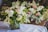 A collection of floral arrangements with white and pink flowers, including roses and various greenery, displayed in transparent vases on a table with a white cloth. The scene suggests a fresh and elegant atmosphere.