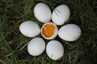 Six whole eggs arranged in a circular formation on a grassy surface with one egg cracked open to reveal a bright orange yolk in the center, creating a flower-like arrangement.