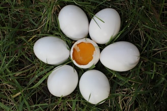 Six whole eggs arranged in a circular formation on a grassy surface with one egg cracked open to reveal a bright orange yolk in the center, creating a flower-like arrangement.