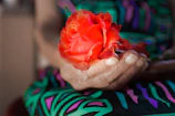 Close-up of a hand holding a rose against a black background.