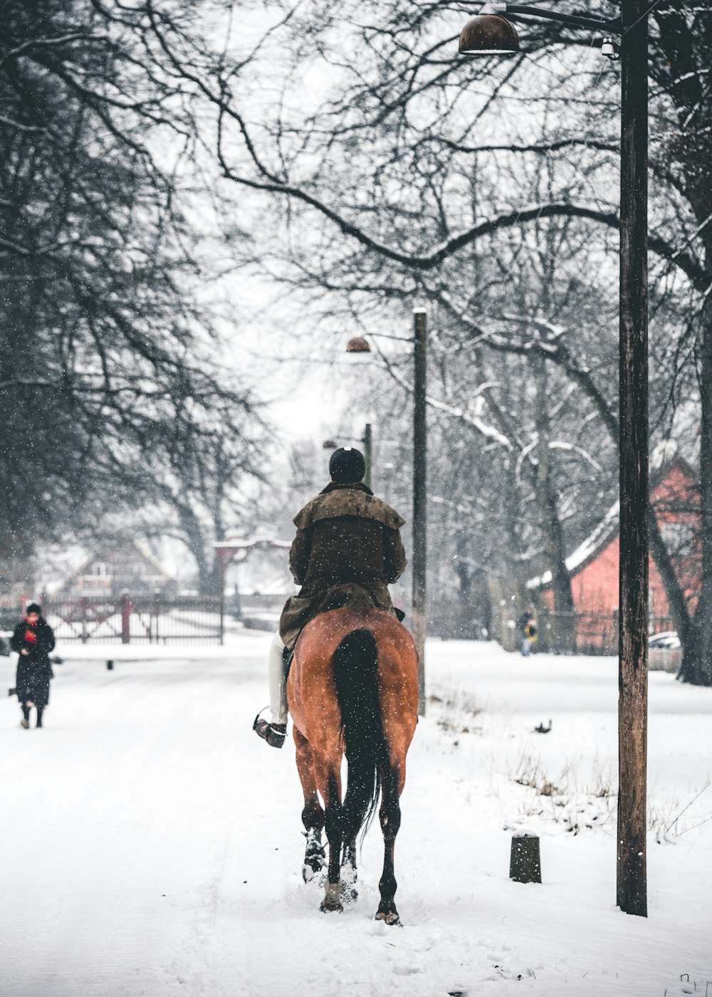man riding horse during winter season