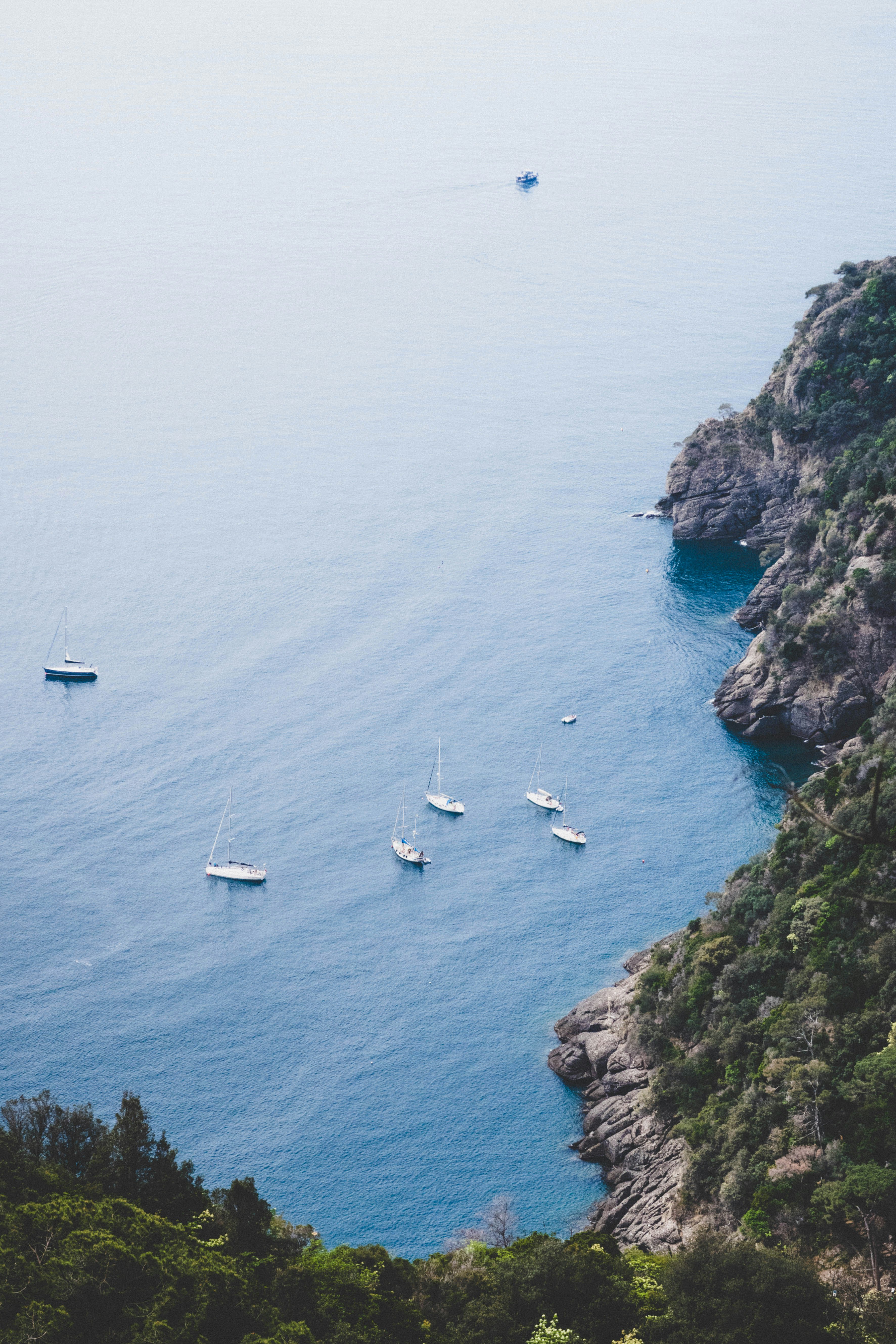 six white boats sailing beside an island