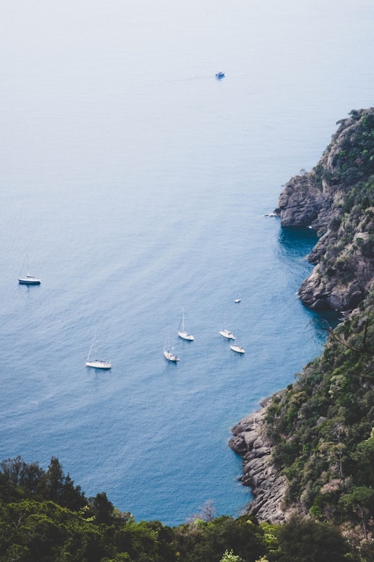 six white boats sailing beside an island in Abbazia di San Fruttuoso Italy