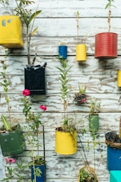 An assortment of tin cans painted in various colors, such as yellow, blue, and red, are affixed to a wooden wall and used as planters for a variety of small plants and flowers. The wooden planks appear weathered, adding a rustic charm to the arrangement. Bright pink flowers stand out among the greenery.