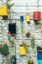 green leafed plant in can hanging on wall