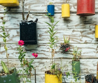 green leafed plant in can hanging on wall