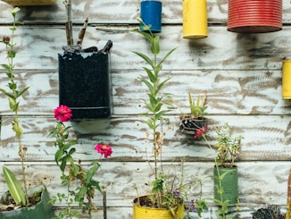 green leafed plant in can hanging on wall