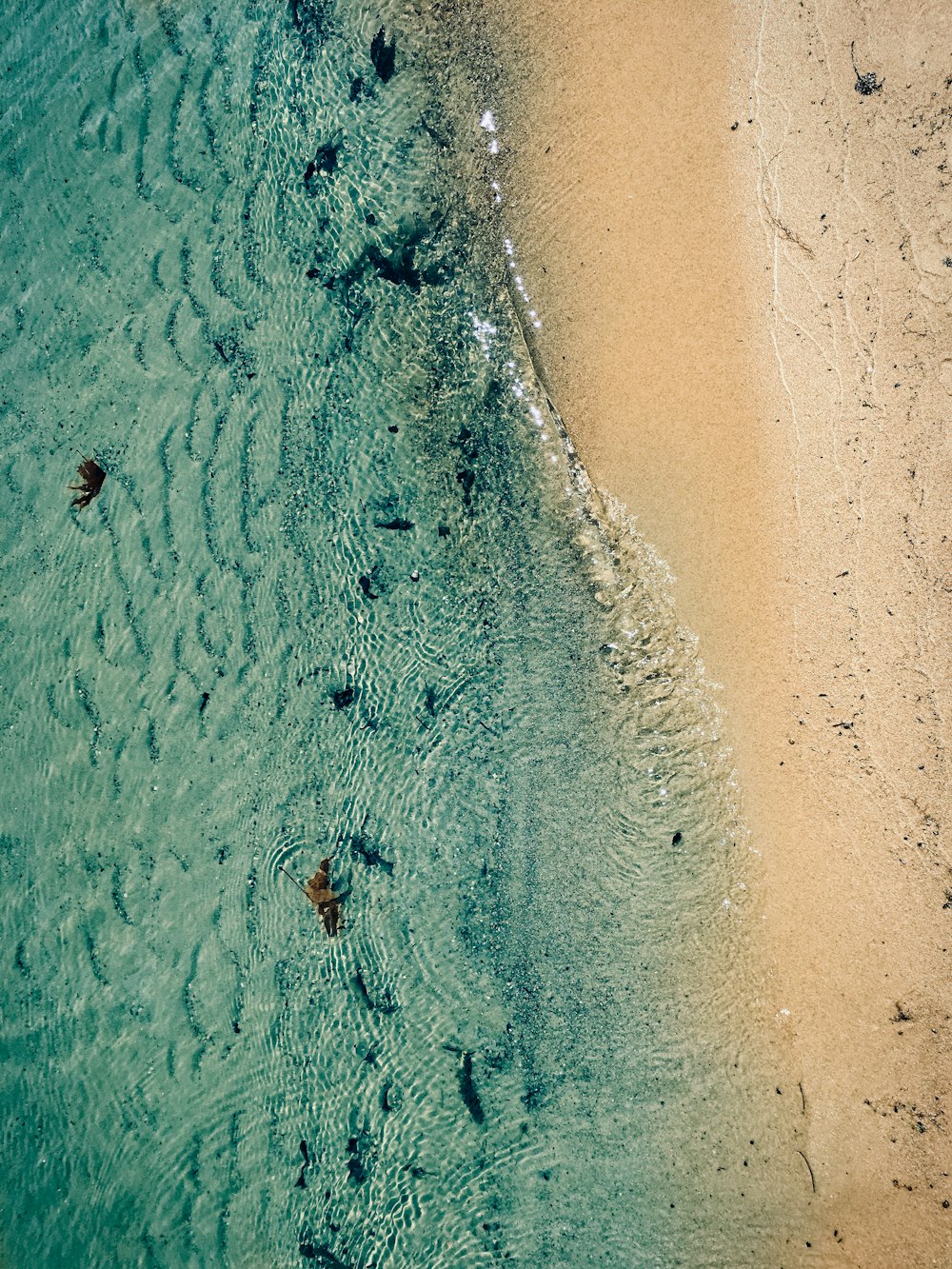 aerial photo of seashore