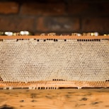 langstroth hive board