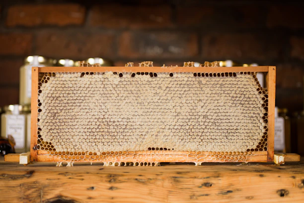 Close-up of golden honey dripping from a honeycomb in a rustic wooden frame