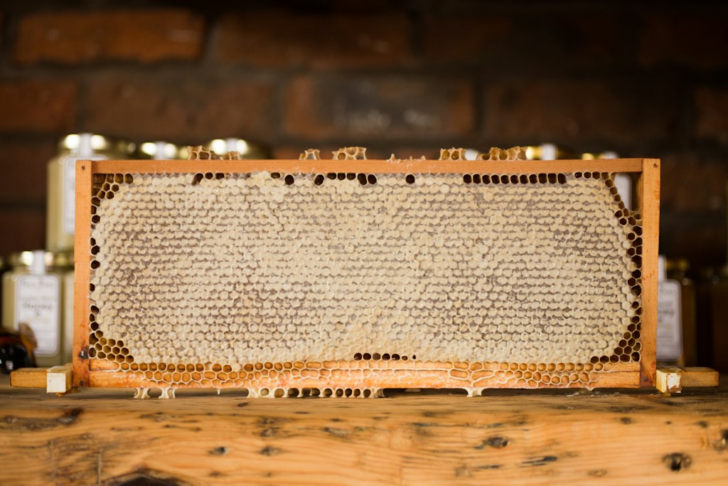 Bee Products Set