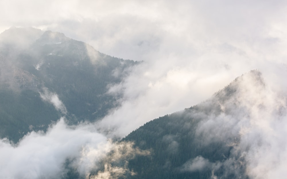 Berge mit Nebel während des Tages