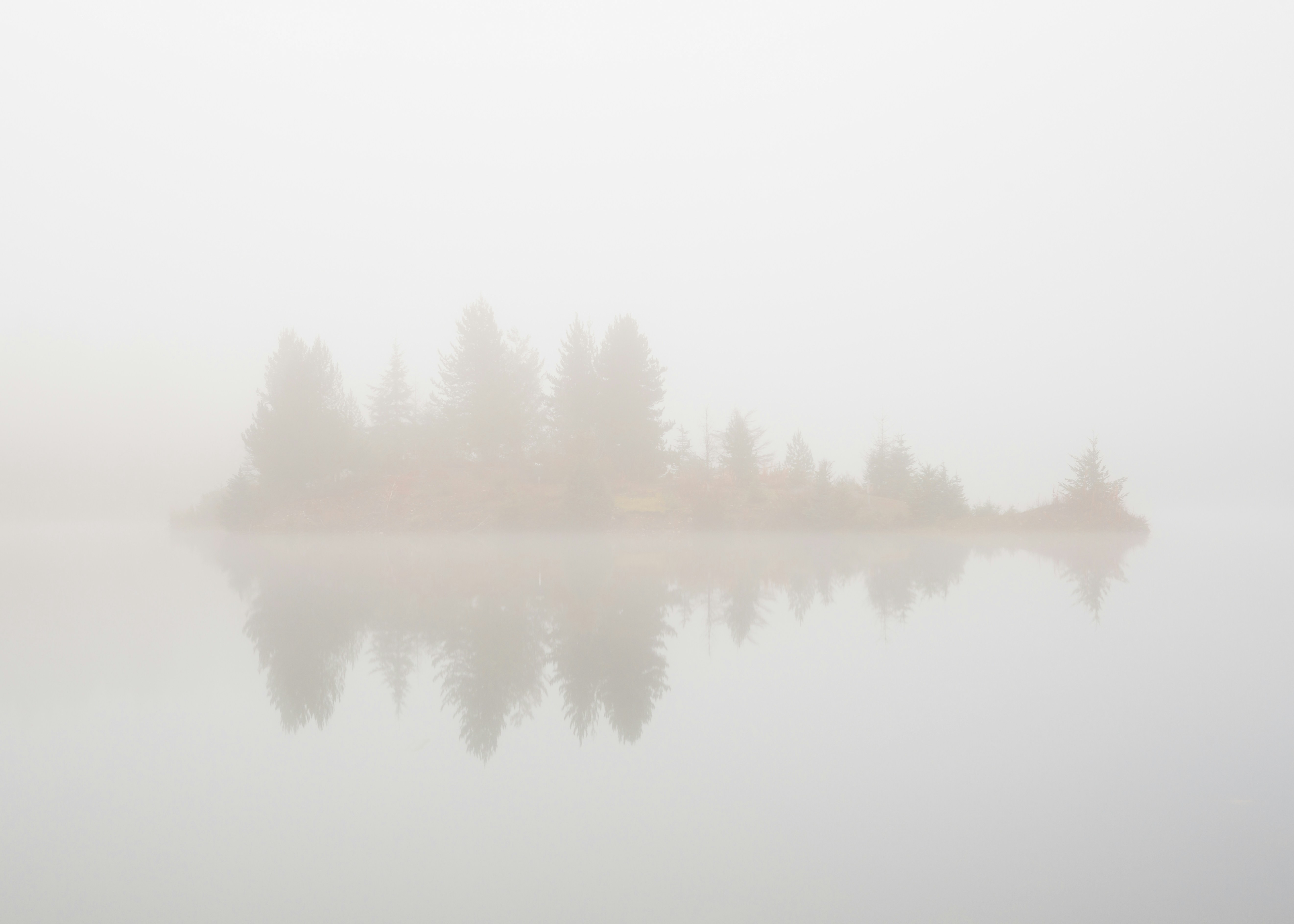 Such a foggy day at Gold Creek Pond in Washington. Normally you can see mountains behind this little island.