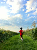 A child running freely along a sunlit path surrounded by soft sand-colored foliage.