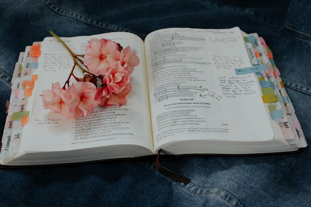 pink petaled flower on book