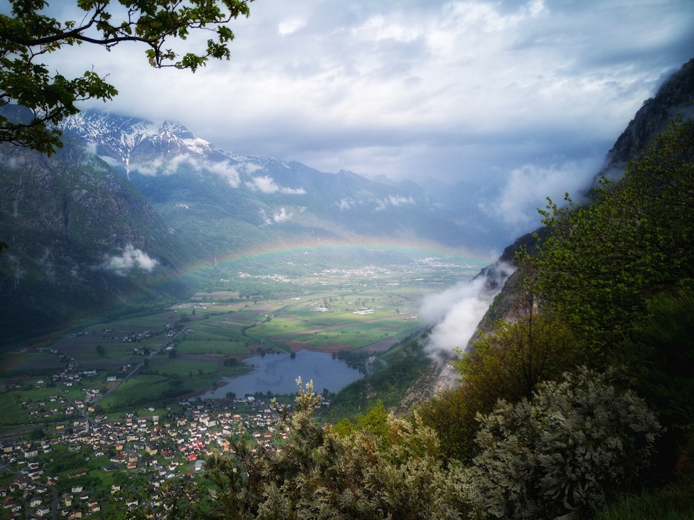 Plantes vertes sous ciel nuageux pendant la journée