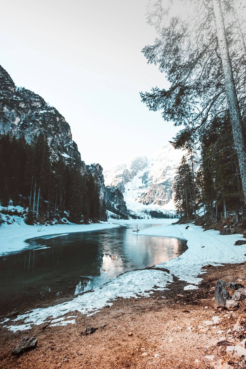 눈이 쌓인 나무 사이의 강