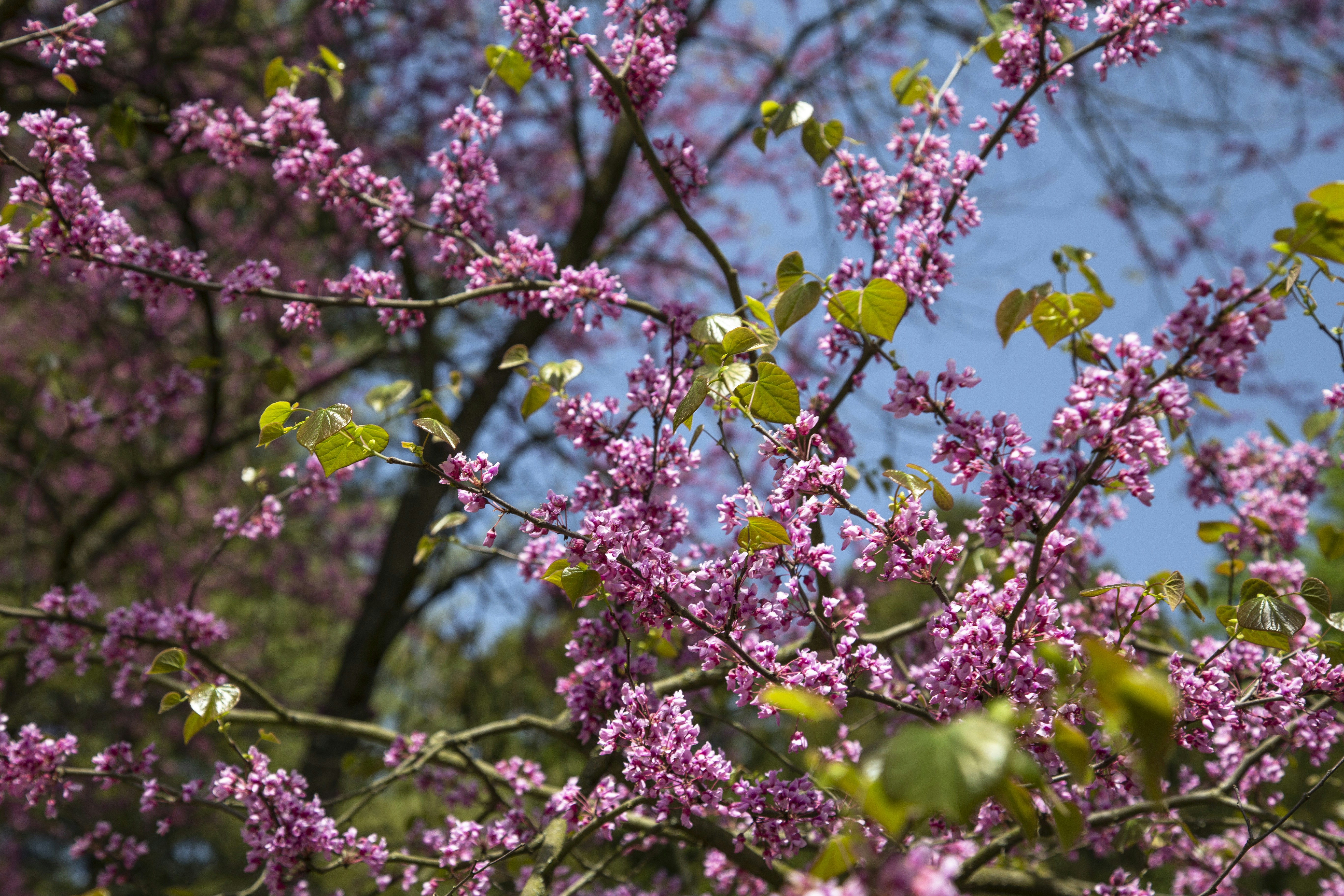 Photo by milada_vigerova