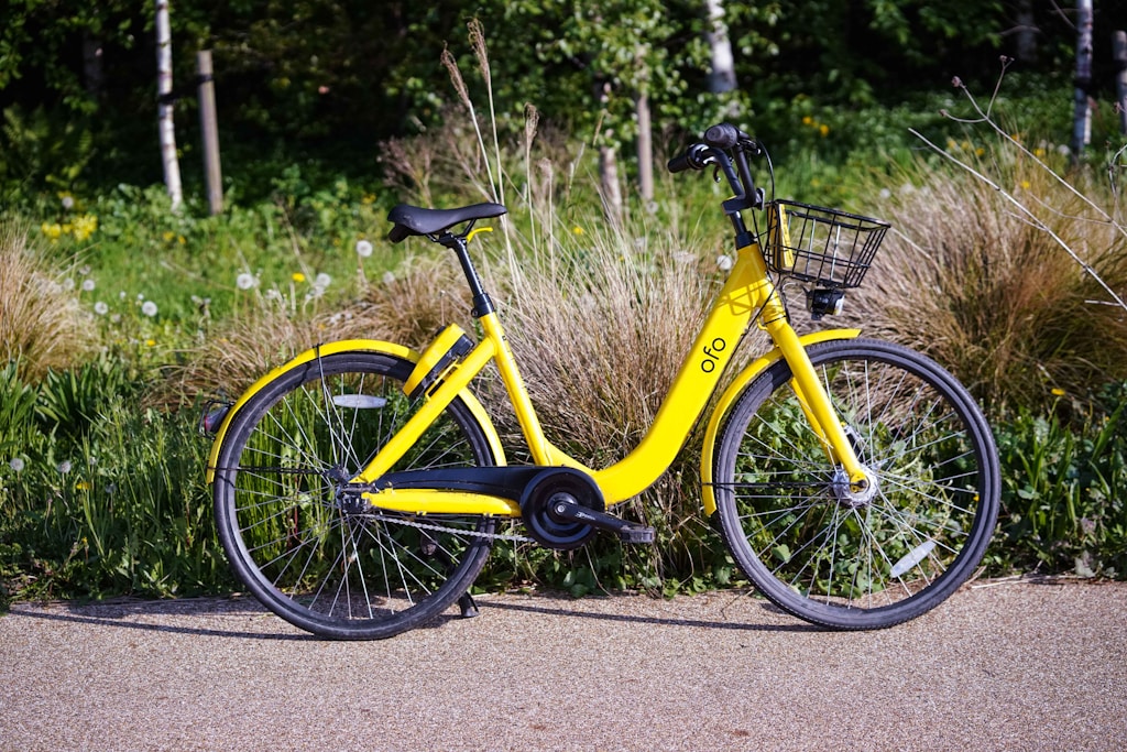 Petit Vélo Coloré
