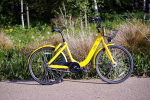 Red Kids Bike