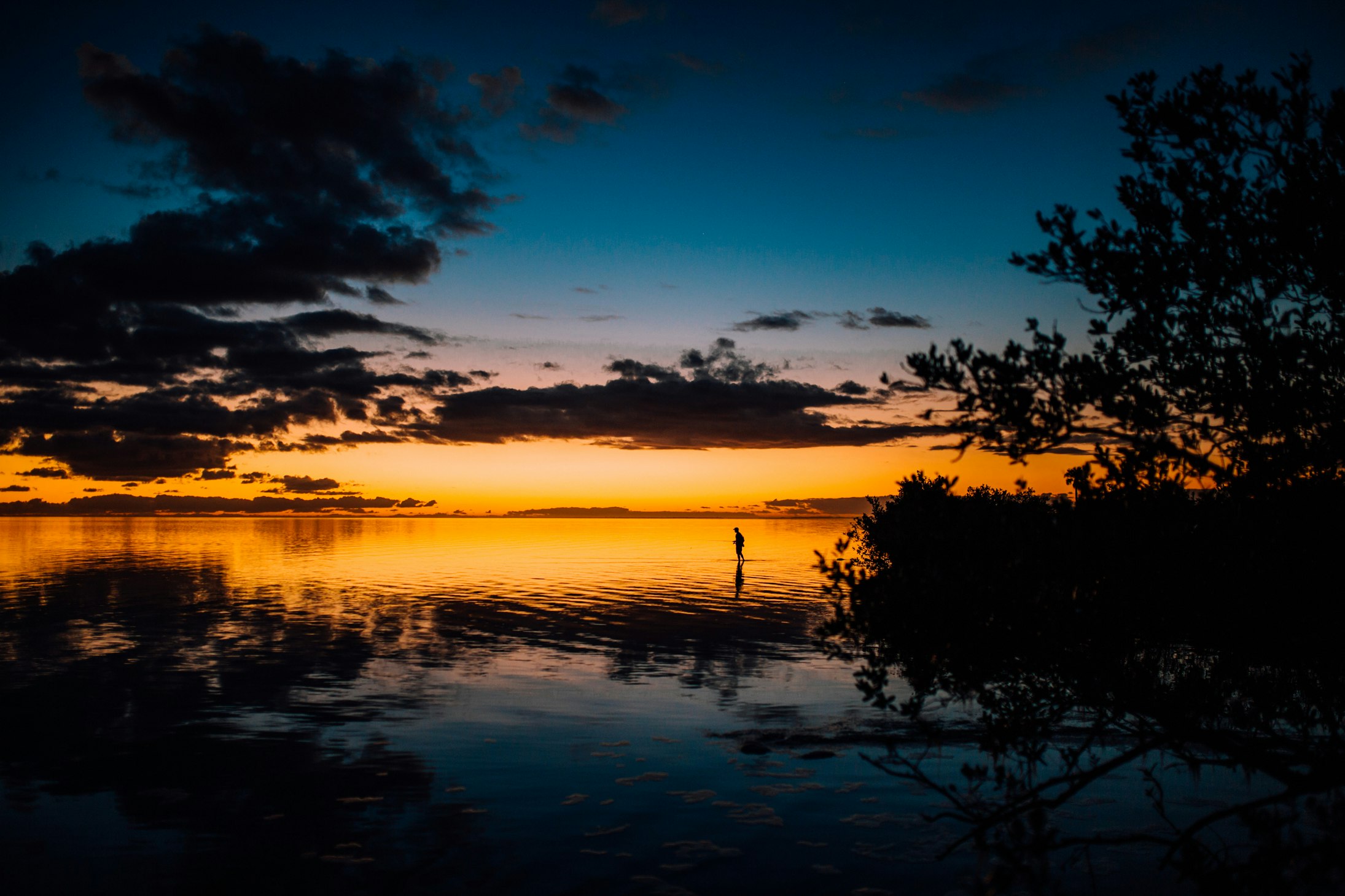 green leafed trees and body of water during sunset