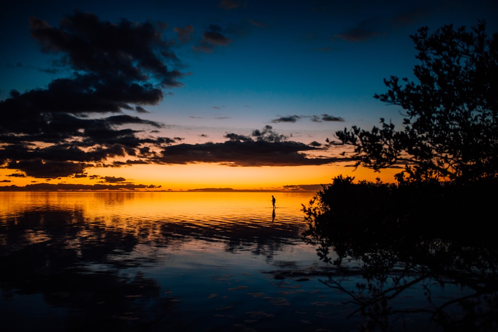 green leafed trees and body of water during sunset