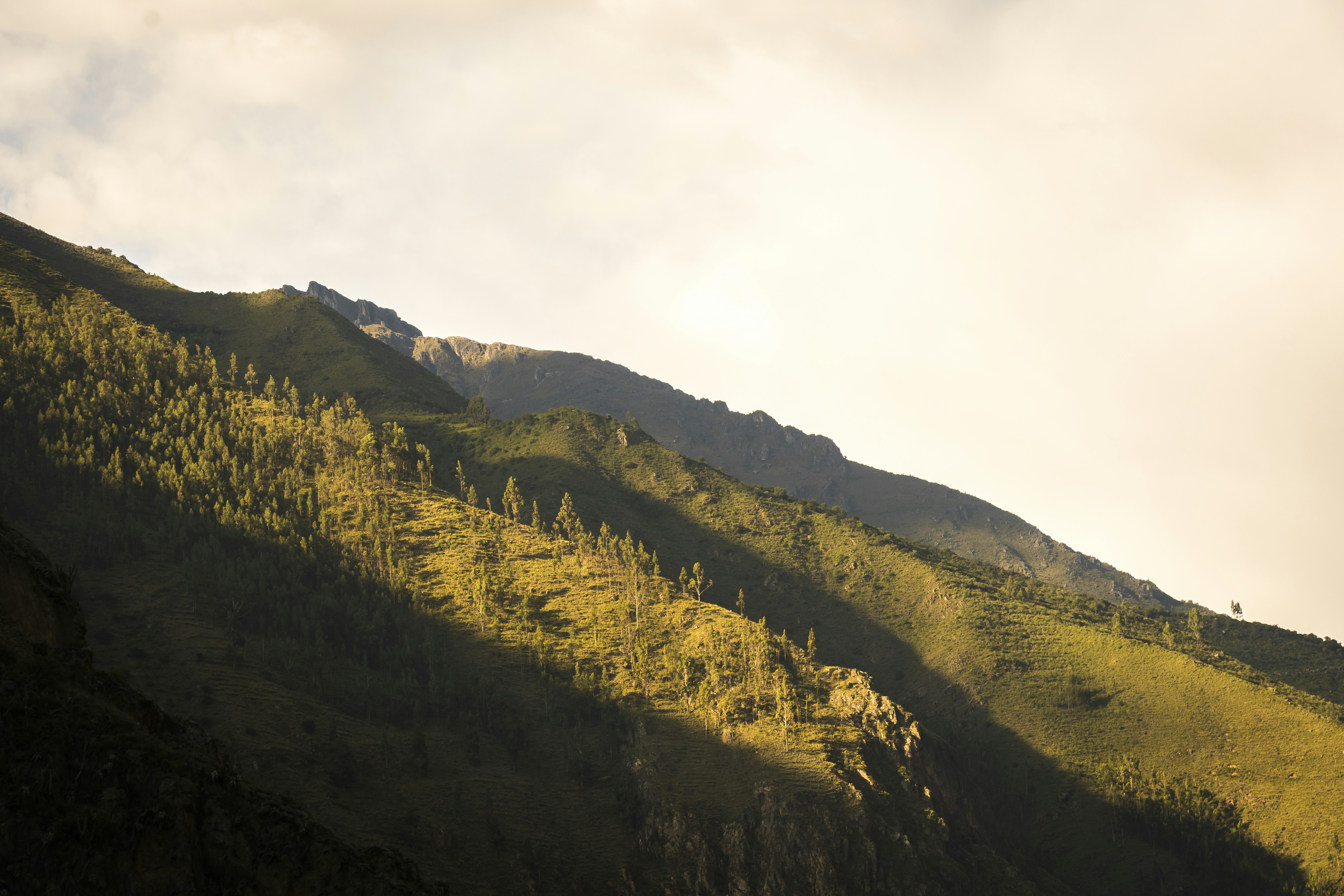 Photo by willianjusten