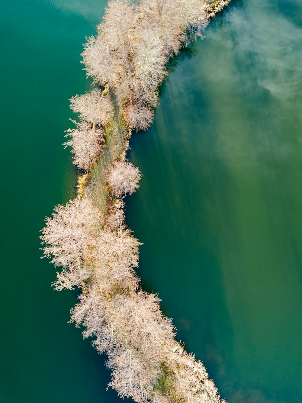 aerial photography of road surrounded by trees and body of water