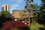 A traditional thatched roof house is nestled among lush green trees and shrubs. A modern skyscraper and a red crane are visible in the background, contrasting with the natural setting. The sunlight casts shadows, creating an interplay of light and shade.
