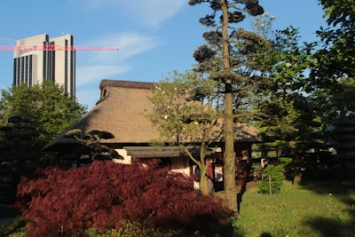 A traditional thatched roof house is nestled among lush green trees and shrubs. A modern skyscraper and a red crane are visible in the background, contrasting with the natural setting. The sunlight casts shadows, creating an interplay of light and shade.