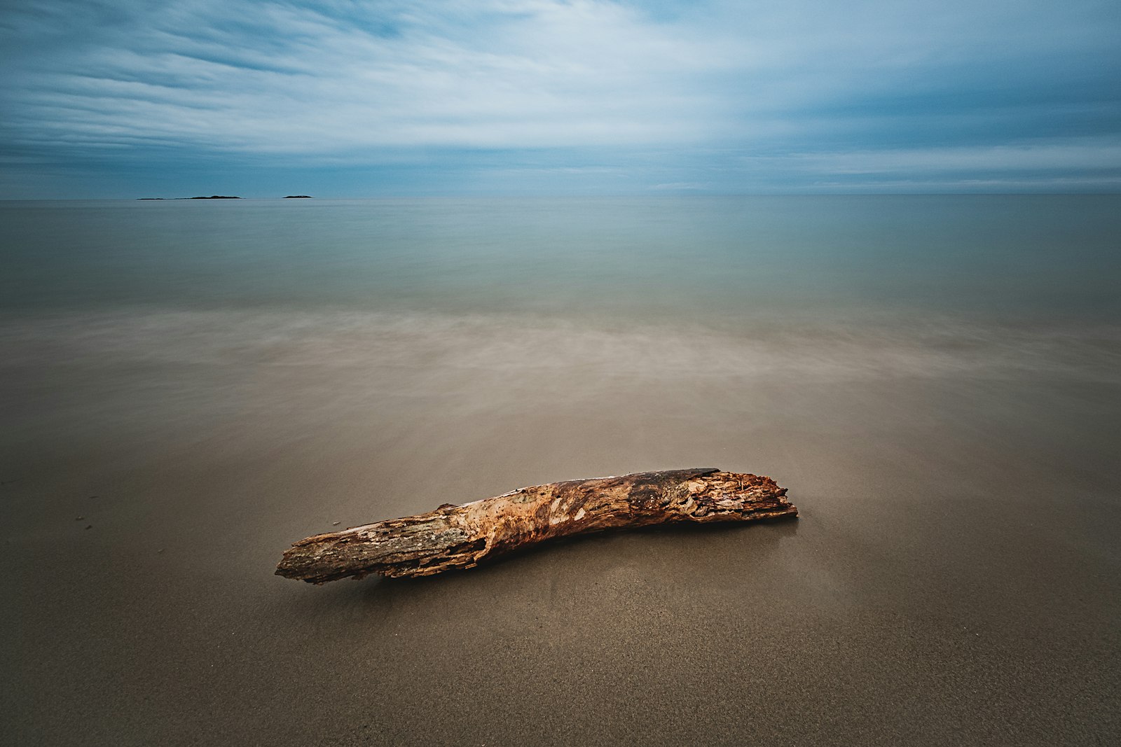 Fujifilm X-Pro2 sample photo. Brown driftwood on soil photography