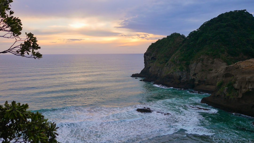 Shore photo spot Ihumoana Island Muriwai Beach