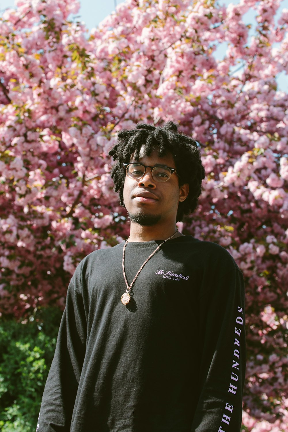 man standing near sakura tree