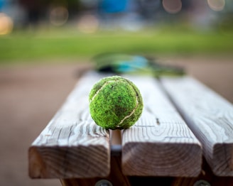 A close-up of a tennis ball resting on a wooden bench.