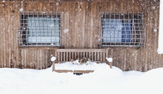 A cozy wooden cat shelter nestled in a snowy garden, with a fluffy cat peeking out.