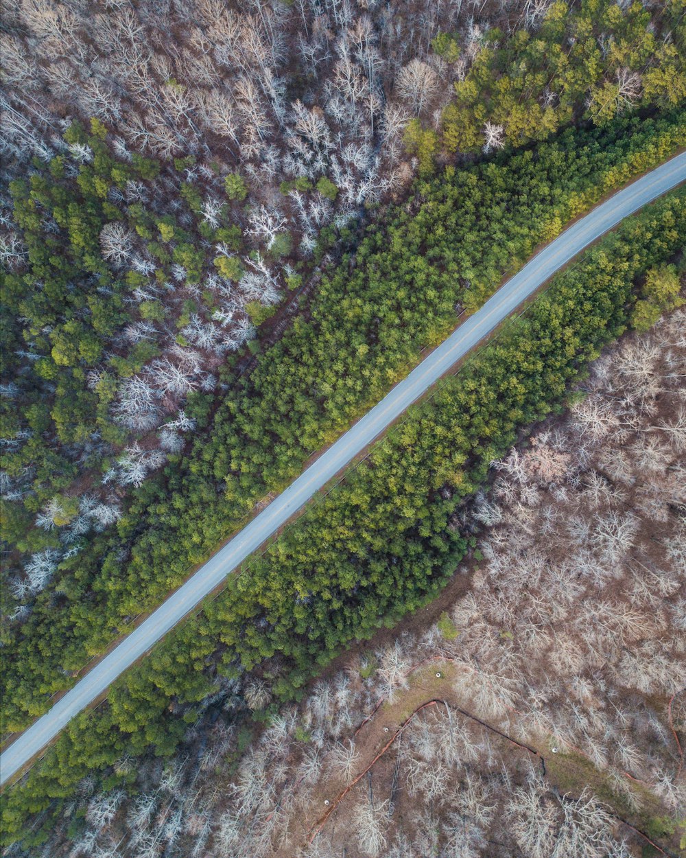 high angle photo of trees and river