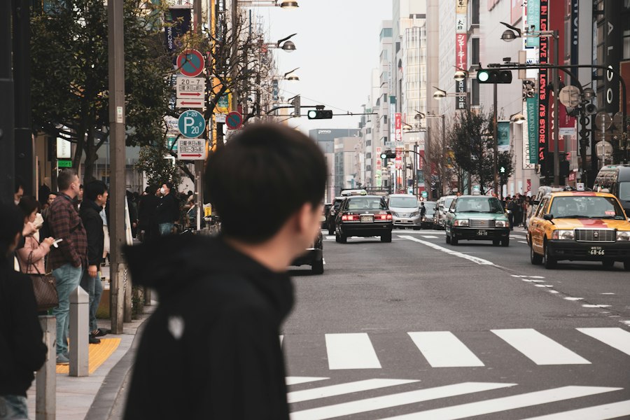 日本の横断歩道