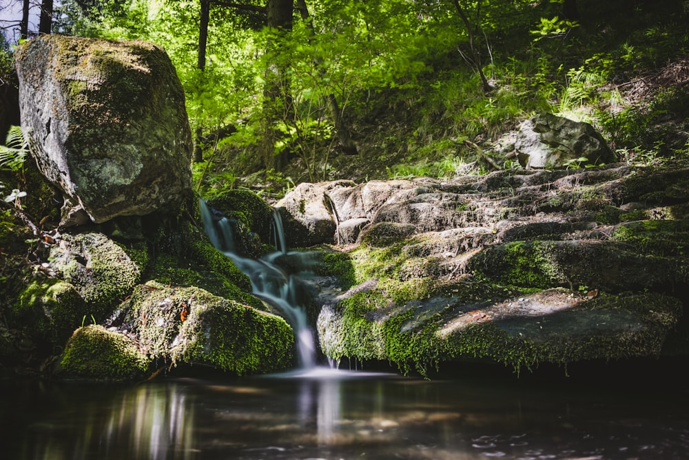 waterfalls near trees