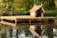 A wooden platform is situated on a tranquil pond, reflecting in the still water. Atop the platform is a small, rustic hut with a slanted roof, framed by lush greenery and wild plants along the pond's edge. Two birds are perched on the roof, adding a touch of life to the peaceful scene.