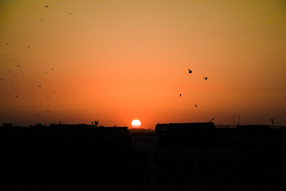 Free Karachi Image On Unsplash
