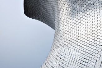 hexagon, credit carbon, carbono, sustentabilidade, esg, CVM, Lucro Real