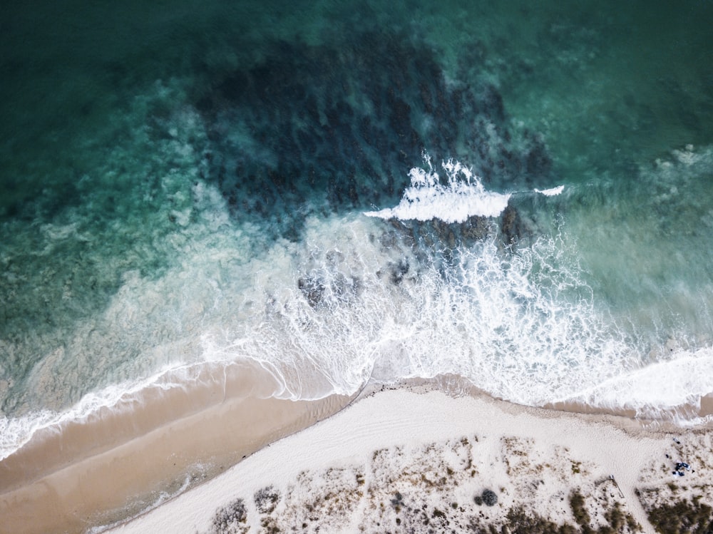Sea Shore Pictures | Download Free Images on Unsplash