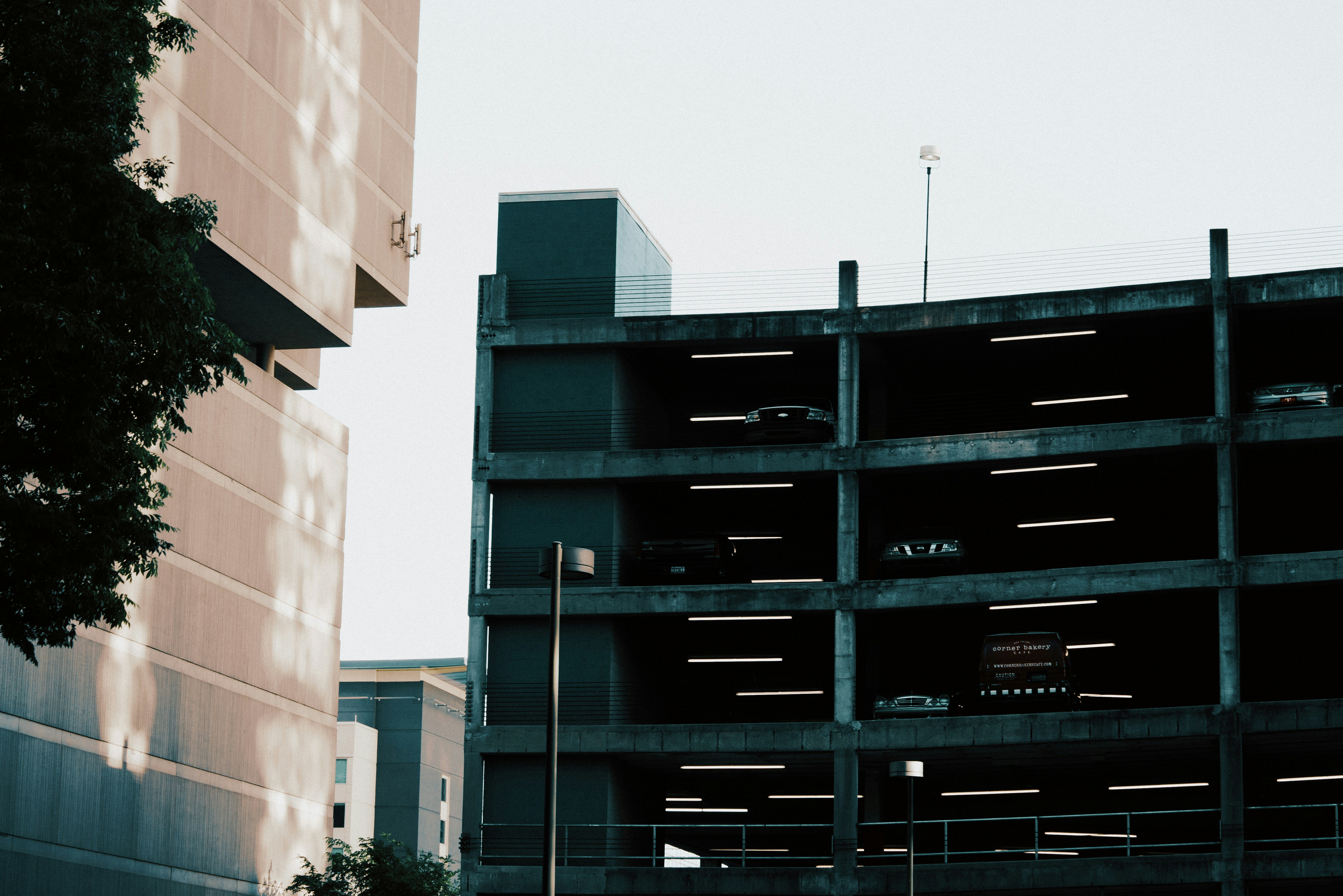 Photo by ronmcclenny