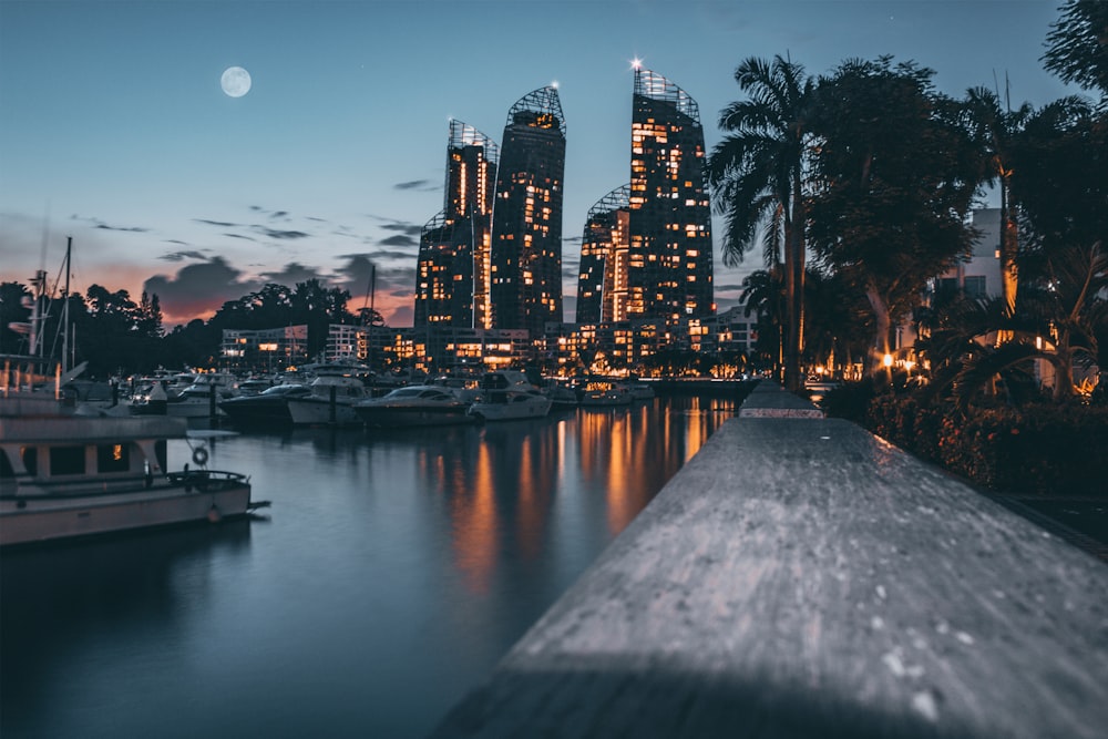 high-rise buildings near body of water during dusk