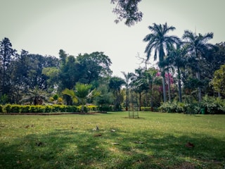 Green zones with trees and open spaces for relaxation.